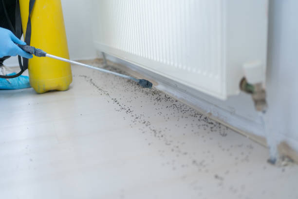 Best Pest Inspection Near Me  in Point Of Rocks, MD